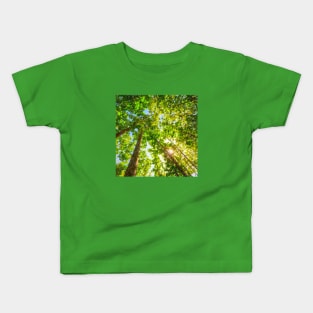 Sun Shining Through A Vibrant Leafy Forest Kids T-Shirt